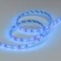 Лента светодиодная [5 м] Arlight RTW 2-5000SE 12V Blue (3528, 300 LED, LUX) 014799(1)