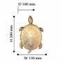 Накладной светильник Favourite Turtle 2254-1W