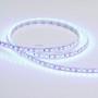 Лента светодиодная [5 м] Arlight RT 2-5000 12V Blue 2x (3528, 600 LED, LUX) 012330(1)