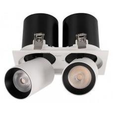 Встраиваемый светильник на штанге Arlight LGD-PULL-S100x200-2x10W Day4000 (WH, 20 deg) 025474