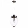 Подвесной светильник Arte Lamp Rimini 1 A1091SP-1CC