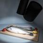 Светильник на штанге Arlight Lgd-Shop LGD-SHOP-4TR-R100-40W Cool SP7500-Fish (BK, 24 deg)