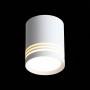 Накладной светильник ST-Luce Cerrione ST101.542.05
