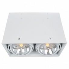 Накладной светильник Arte Lamp Cardani A5936PL-2WH