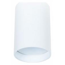 Накладной светильник Arte Lamp Beid A1517PL-1WH