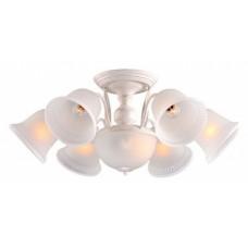 Потолочная люстра Arte Lamp Campanula A6306PL-8WG