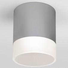 Накладной светильник Elektrostandard Light LED a057161