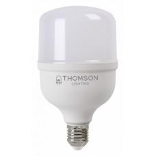 Лампа светодиодная Thomson T100 E27 30Вт 6500K TH-B2364